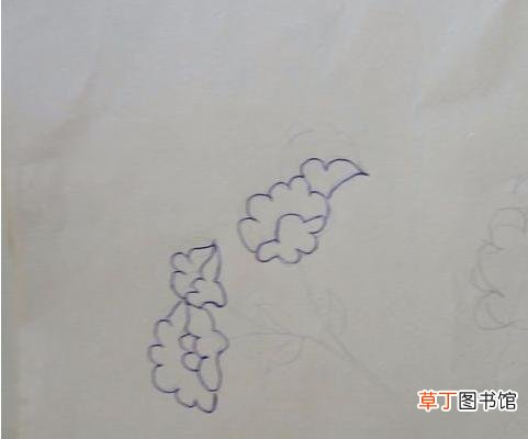 简笔画图解步骤 鸡冠花怎么画 什么是简笔画