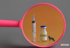 上海打狂犬疫苗的地方在哪里