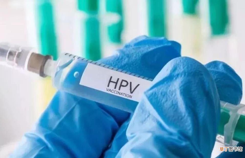 国产hpv疫苗可以预防几种
