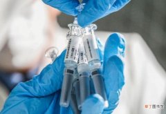 脊灰减毒和灭活疫苗的区别是什么