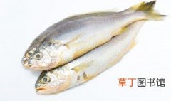黄花鱼煮法 炖大黄花鱼的家常做法