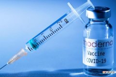 四价疫苗预防哪些病毒