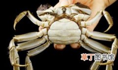 螃蟹什么时候吃膏最多 螃蟹秋天吃膏最多对吗