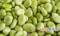 鲜蚕豆的储存方法 如何长期保存新鲜蚕豆