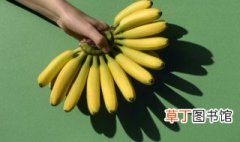 香蕉是什么季节成熟呢，香蕉是什么时候成熟的季节