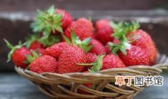 草莓怎么传播种子的 草莓怎么传播种子的方法