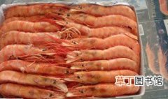 阿根廷红虾大的好还是小的好 阿根廷红虾选择不以大小来论