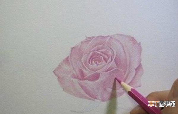 蔷薇花折法图解 蔷薇花怎么画