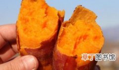 红薯那么甜为什么减肥 红薯能减肥的原因