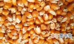 干玉米储存方法 干玉米如何长期储存