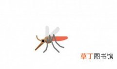 蚊子有克星吗 蚊子最怕的大克星