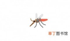 蚊子的克星是什么 蚊子的克星