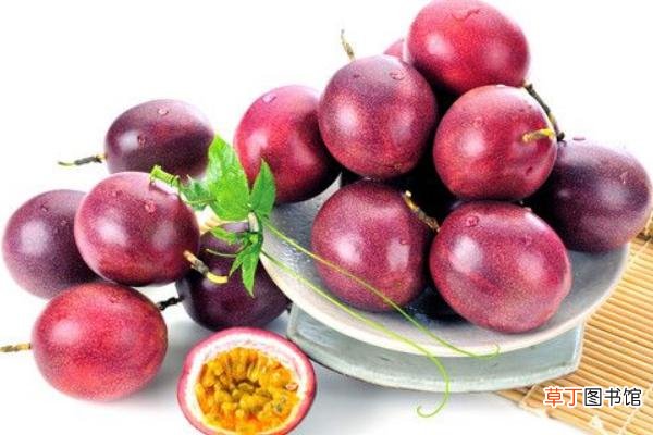 西番莲和百香果的区别是什么 西番莲是百香果吗
