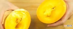 芒果核可以种吗