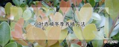 小叶赤楠冬季养殖方法