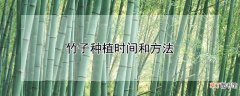 竹子种植时间和方法