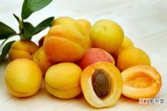 几月 杏子什么时候成熟 杏子是什么季节的水果