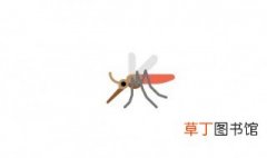 蚊子最怕三种克星是 蚊子最怕的三个克星