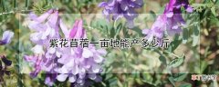 紫花苜蓿一亩地能产多少斤