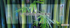 竹子的种植方法和要求