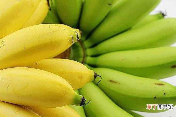 帝王香蕉和普通香蕉的区别是什么帝王蕉的市场价格