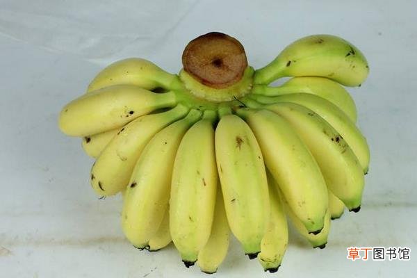 帝王香蕉和普通香蕉的区别是什么帝王蕉的市场价格