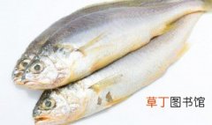 四川豆瓣鱼的家常做法 四川豆瓣鱼如何做