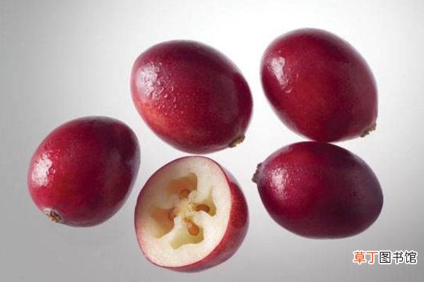 圣洁莓、蔓越莓、月见草之间的区别是什么 女人吃蔓越莓的好处有哪些