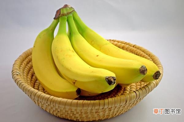 芭蕉和米蕉的区别是什么芭蕉和香蕉的区别