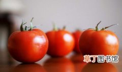 青菜西红柿汤面的家常做法 青菜西红柿汤面家常的做法