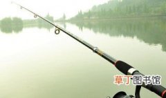 8.1米鱼竿用多长支架 鱼竿长度选择要注意什么