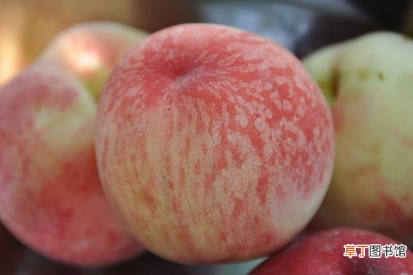 蟠桃和水蜜桃的区别是什么 蟠桃和水蜜桃哪个好吃
