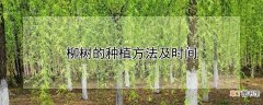 柳树的种植方法及时间