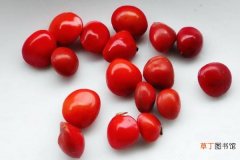 海红豆和相思子的区别是什么 海红豆和相思子的形态特征分别是