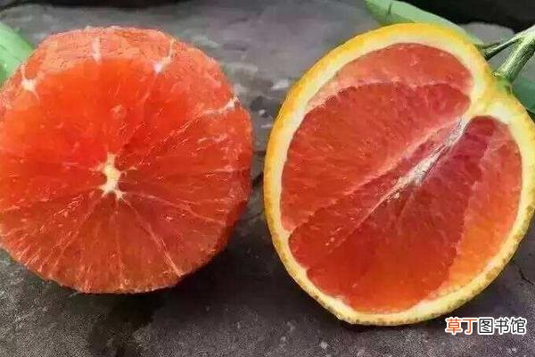血橙产地在哪里 血橙怎么挑选