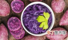 紫薯怎么样种才高产，紫薯的高产种植技术