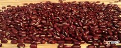 红小豆几月份播种