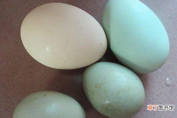 鸭蛋可以洗了放冰箱吗 鸭蛋洗了能放多久