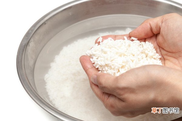 洗米水可以浇植物吗
