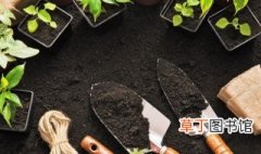 丁毒豆适合哪里种植 丁毒豆的种植