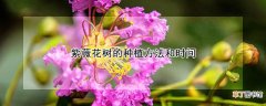 紫薇花树的种植方法和时间