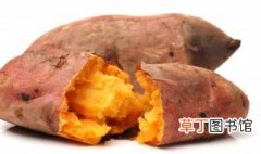 烤红薯是长的好吃还是圆的好吃 什么形状的烤红薯好吃
