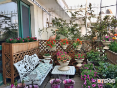 5大技巧让你在阳台享受花卉园艺带来的乐趣