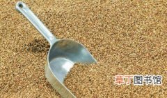 储存小麦的方法 储存小麦的方法是什么