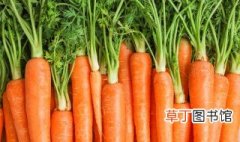 胡萝卜储存方法 胡萝卜如何储存