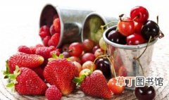 广东哪里适合种植大棚草莓 广东地区适合种什么品种的草莓