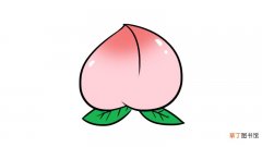 粉色的桃子简笔画