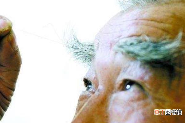 长寿眉预示什么 长寿眉毛什么时候长预示长寿