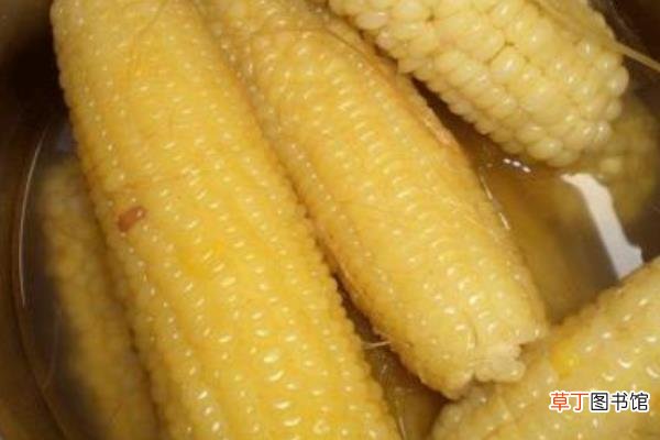 玉米煮多久能熟 玉米没煮熟能吃吗