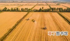 黑稻谷的种植技术 黑米稻适合哪里种植
